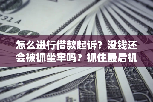 北京怎么进行借款起诉？没钱还会被抓坐牢吗？抓住最后机会！