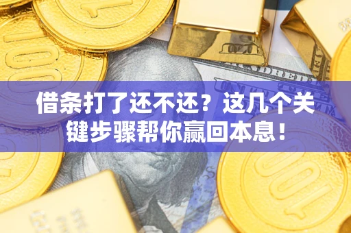 北京借条打了还不还？这几个关键步骤帮你赢回本息！