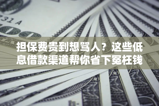 北京担保费贵到想骂人？这些低息借款渠道帮你省下冤枉钱