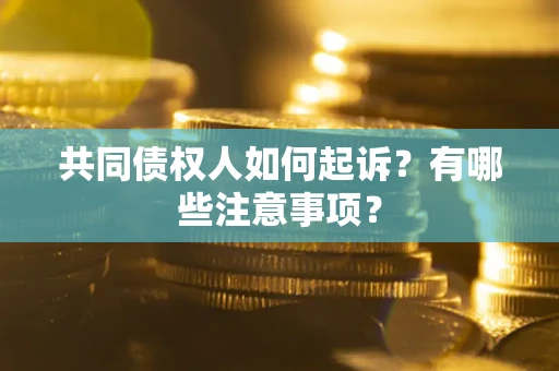 北京共同债权人如何起诉？有哪些注意事项？